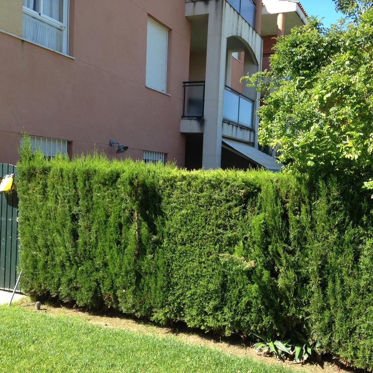 Divi Apartments Costa Ballena Buitenkant foto